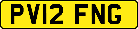 PV12FNG