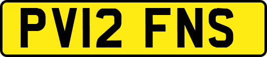PV12FNS