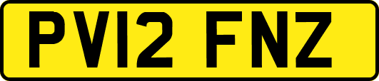 PV12FNZ