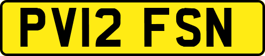 PV12FSN