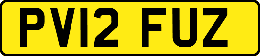 PV12FUZ