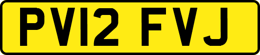 PV12FVJ
