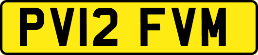 PV12FVM