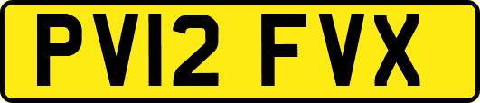 PV12FVX