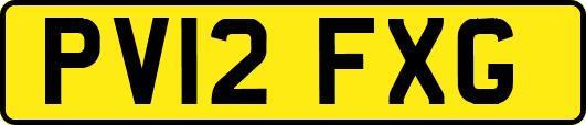 PV12FXG