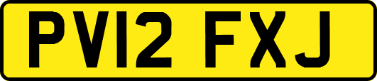 PV12FXJ