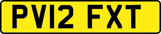 PV12FXT