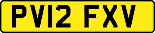 PV12FXV