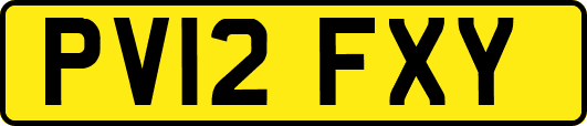 PV12FXY
