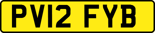 PV12FYB