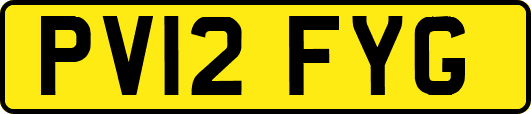 PV12FYG