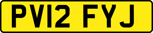 PV12FYJ