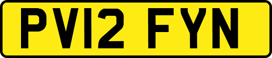 PV12FYN