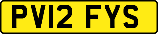 PV12FYS