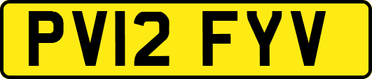 PV12FYV