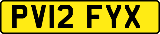 PV12FYX