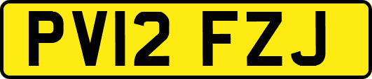 PV12FZJ
