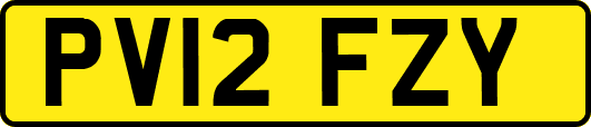 PV12FZY