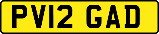 PV12GAD