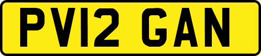 PV12GAN