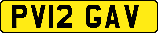 PV12GAV