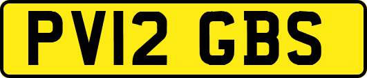 PV12GBS