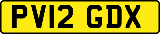 PV12GDX