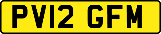 PV12GFM