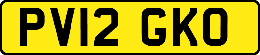 PV12GKO