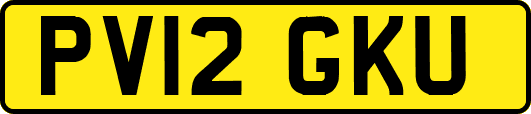 PV12GKU