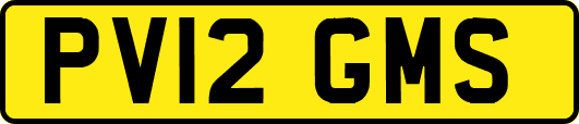 PV12GMS