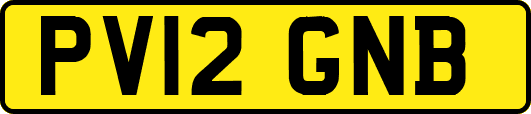 PV12GNB