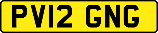 PV12GNG