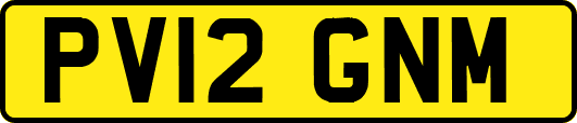 PV12GNM
