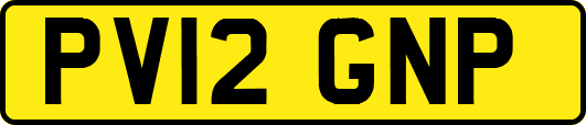 PV12GNP