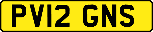 PV12GNS