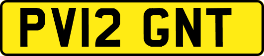 PV12GNT