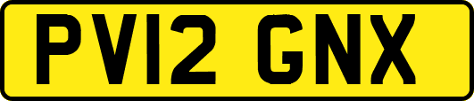 PV12GNX