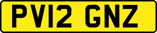 PV12GNZ