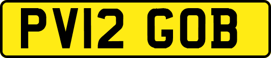 PV12GOB
