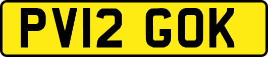 PV12GOK