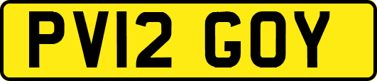 PV12GOY