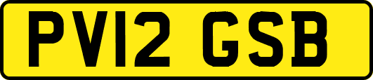 PV12GSB