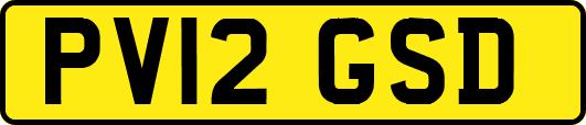 PV12GSD