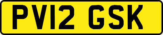 PV12GSK