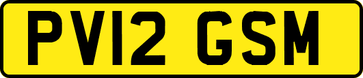 PV12GSM