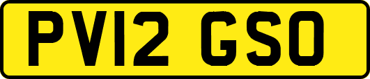 PV12GSO