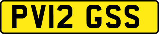 PV12GSS
