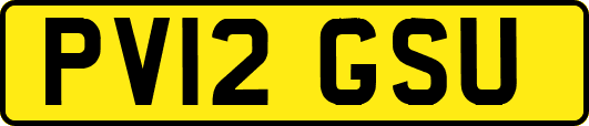 PV12GSU