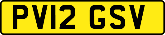 PV12GSV